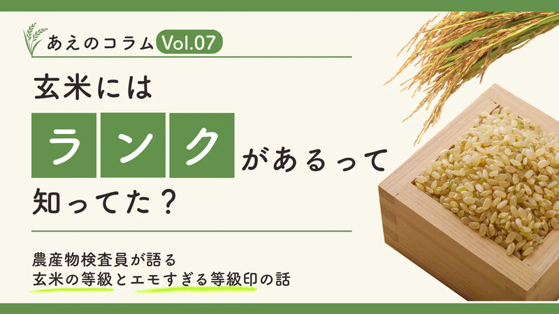 玄米にはランクがあるって知ってた？農産物検査員が語る意外と知らない「玄米の等級」とエモすぎる等級印の世界
