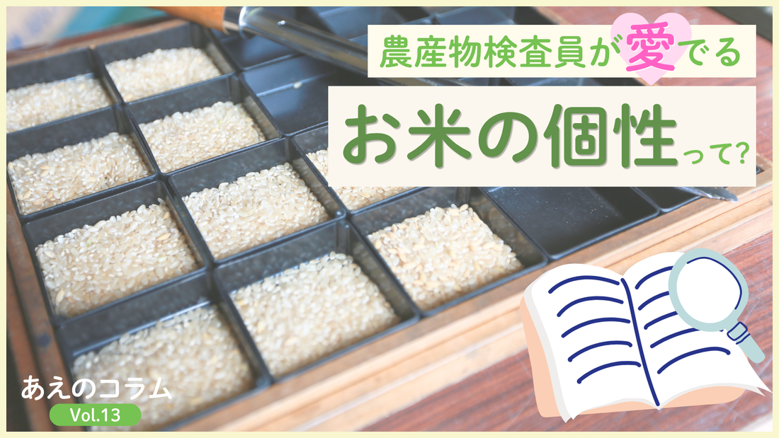 農産物検査員が愛でる、お米の個性って？