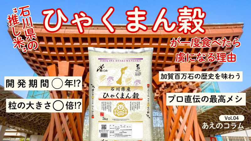 【石川の誇り】大粒・もっちり！ブランド米「ひゃくまん穀」が一度食べたら虜になる理由