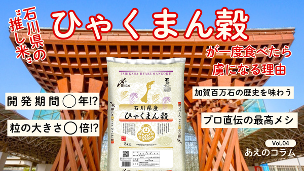 【ひゃくまん穀ってどんなお米？】大粒・もっちり！ひゃくまん穀が一度食べたら虜になる理由