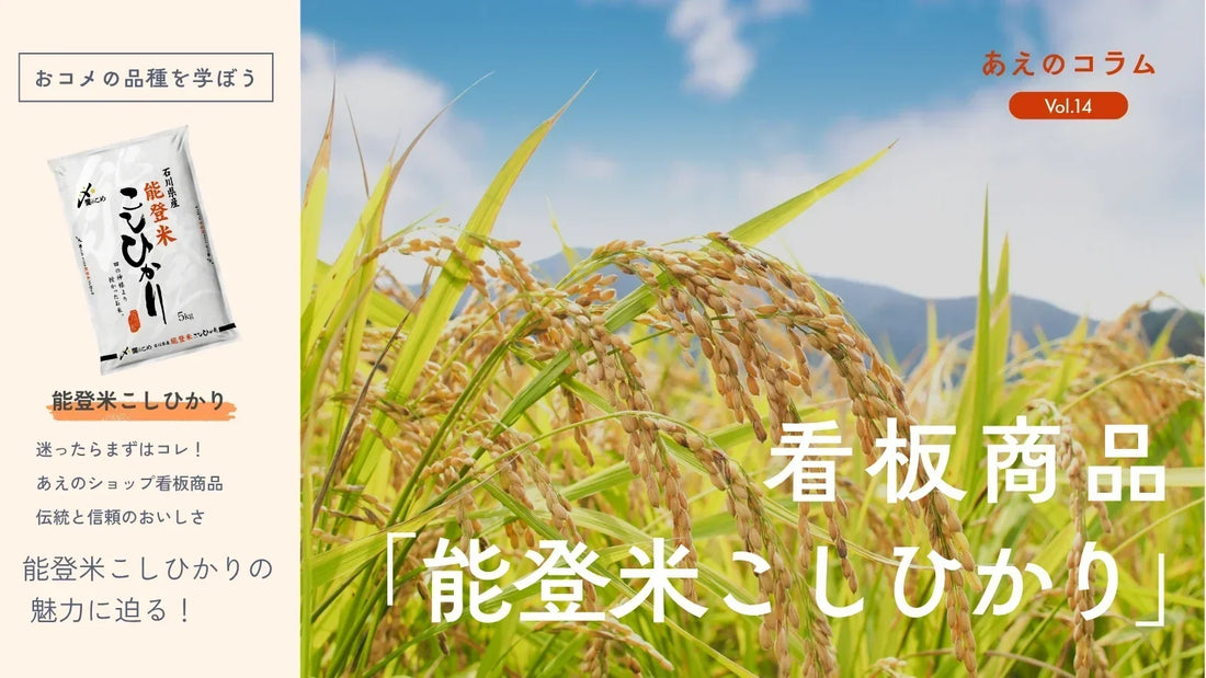 【おコメの品種を学ぼう】迷ったらまずはこれ！看板商品「能登米こしひかり」をご紹介。