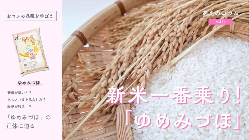 【おコメの品種を学ぼう】新米一番乗り！「ゆめみづほ」をご紹介。