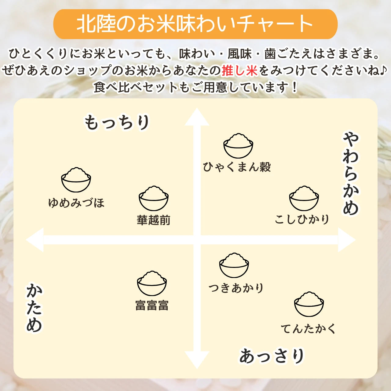 能登米こしひかり 5kg