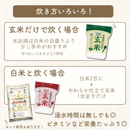 やわらか仕立て玄米　石川県産こしひかり 2㎏