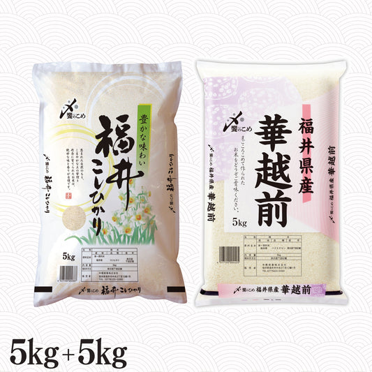福井県産こしひかり 5kg+福井県産華越前 5kg