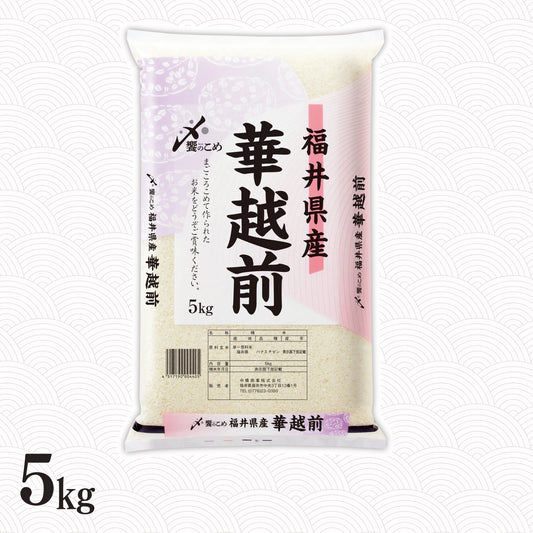 福井県産華越前 5kg