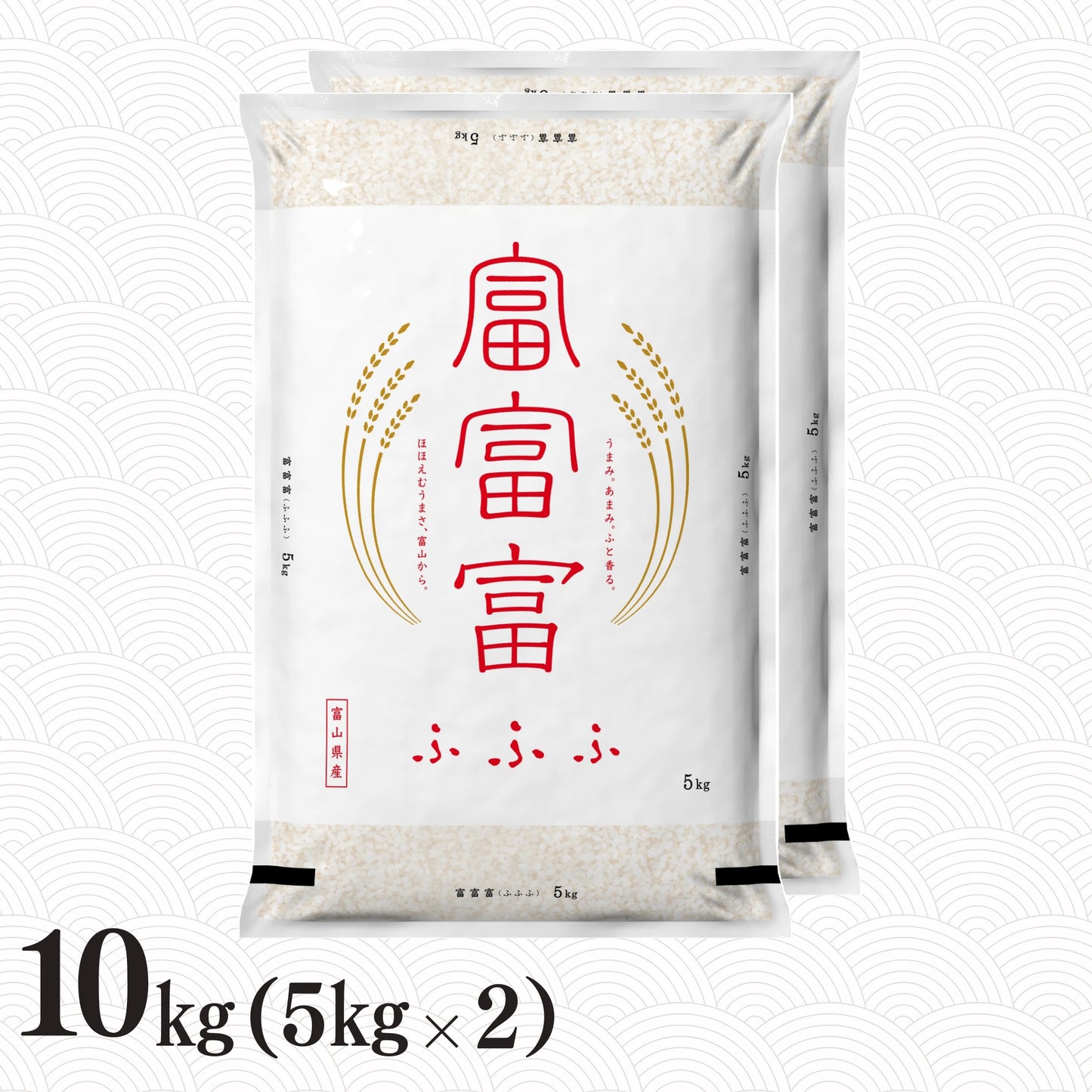 富山県産富富富 10kg